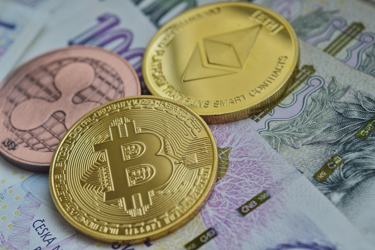 美国世界粮食计划署WFP宣布：接受BTC、ETH、USDC、DOGE、BONK等80种加密货币捐赠